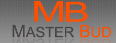 Logo MasterBud