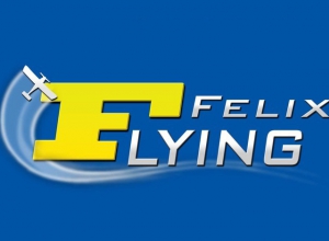 Logo Flying Felix