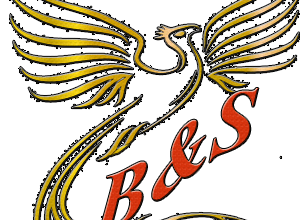 Logo B&S COMPANY Sp.z o.o.