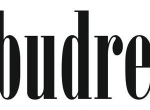 Logo BUDREMEX