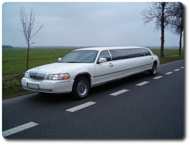 Logo ZAMOŚĆ LIMUZYNY ŚLUBNE