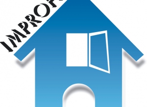 Logo IMPROFEX