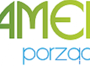 Logo Amelis